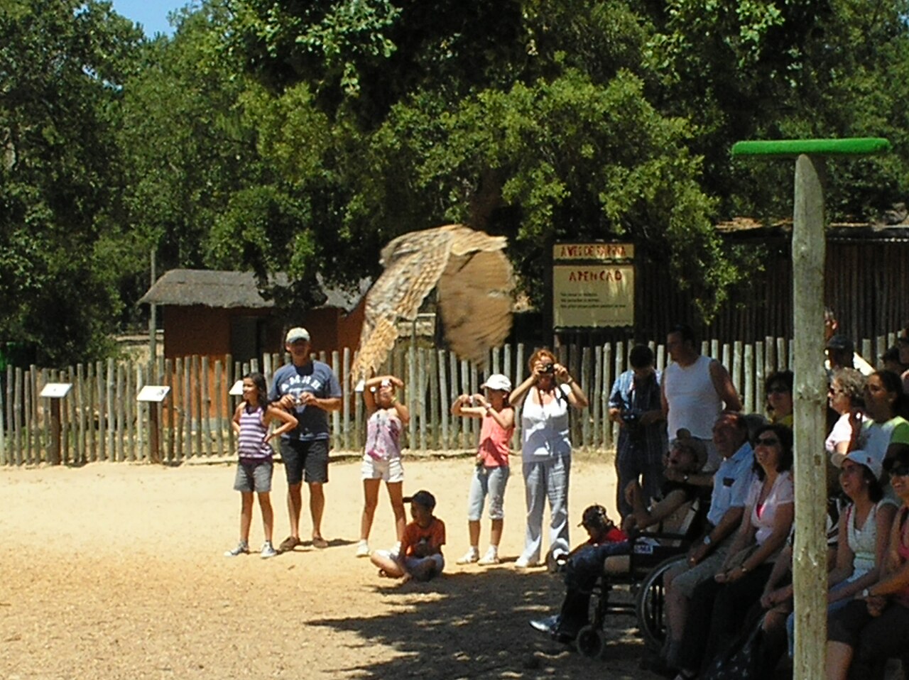 Badoca Safari